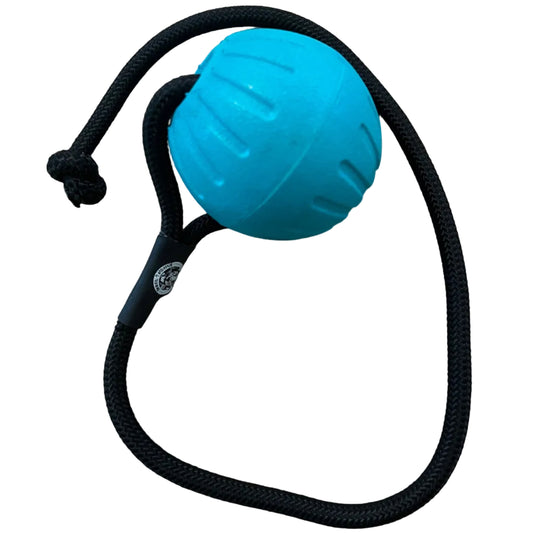 A teal coloured ball dog toy with a black rope.