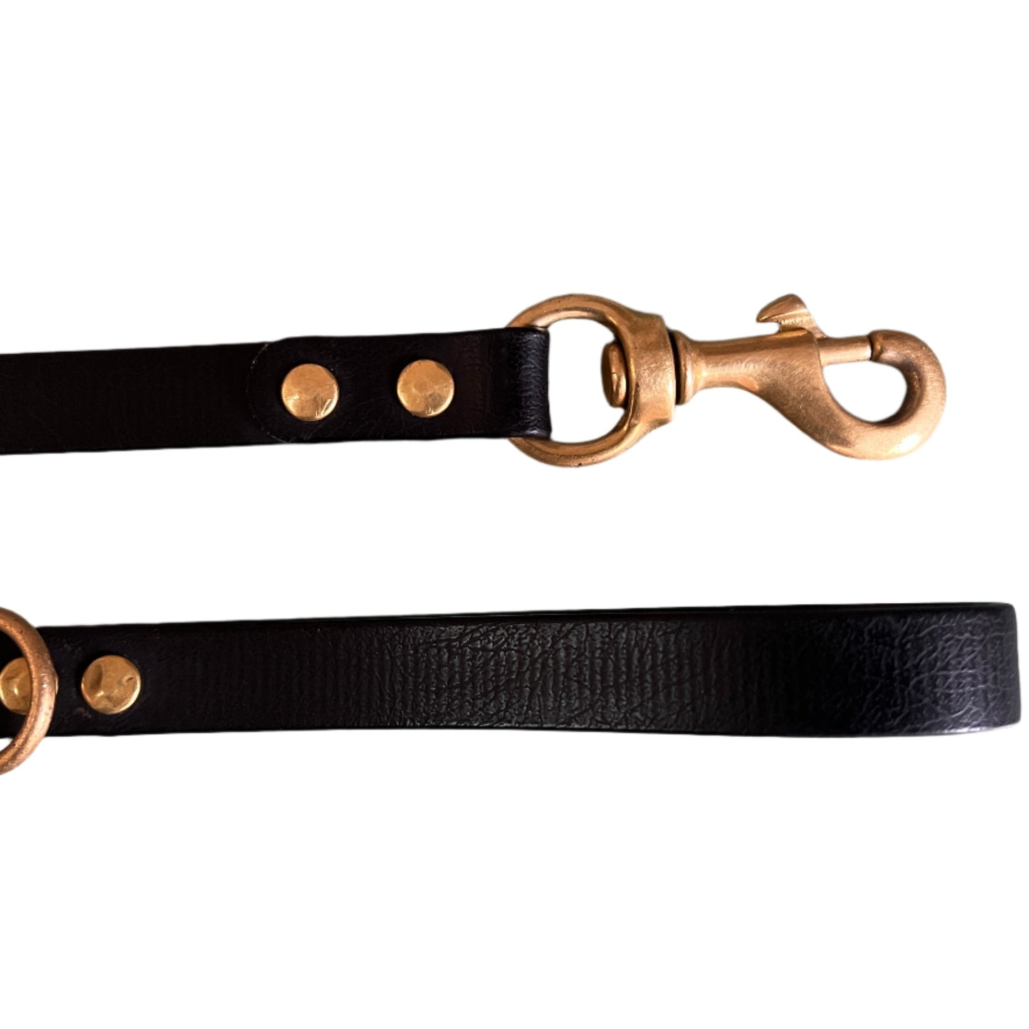 Everyday Dog Lead