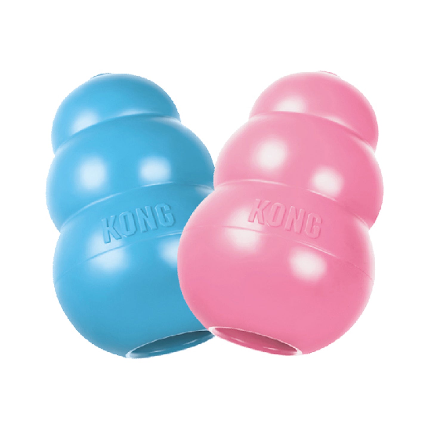 KONG Puppy