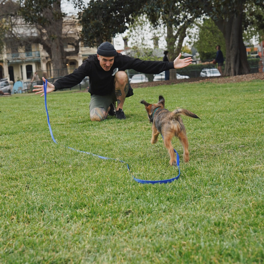 a puppy on a long line runs to a person with their arms outstretched