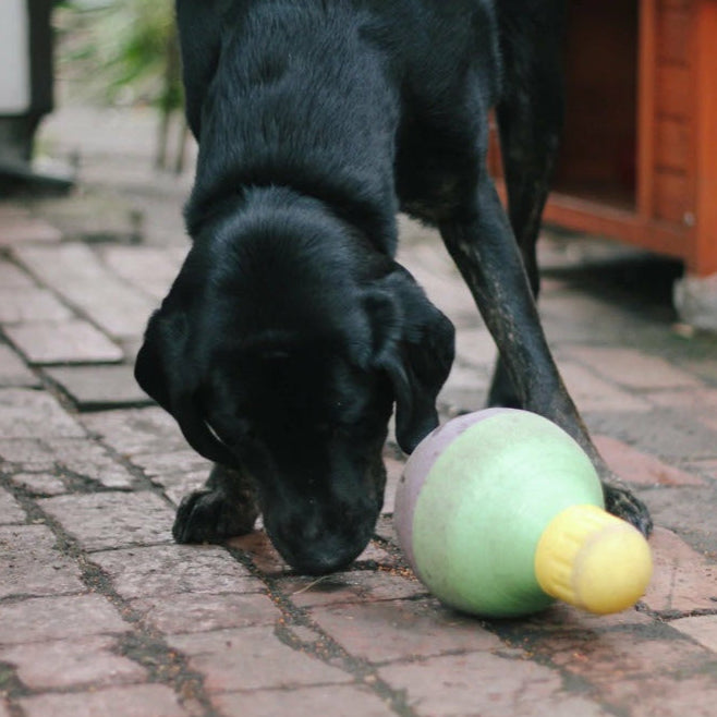 Dog eating from Bob A Lot