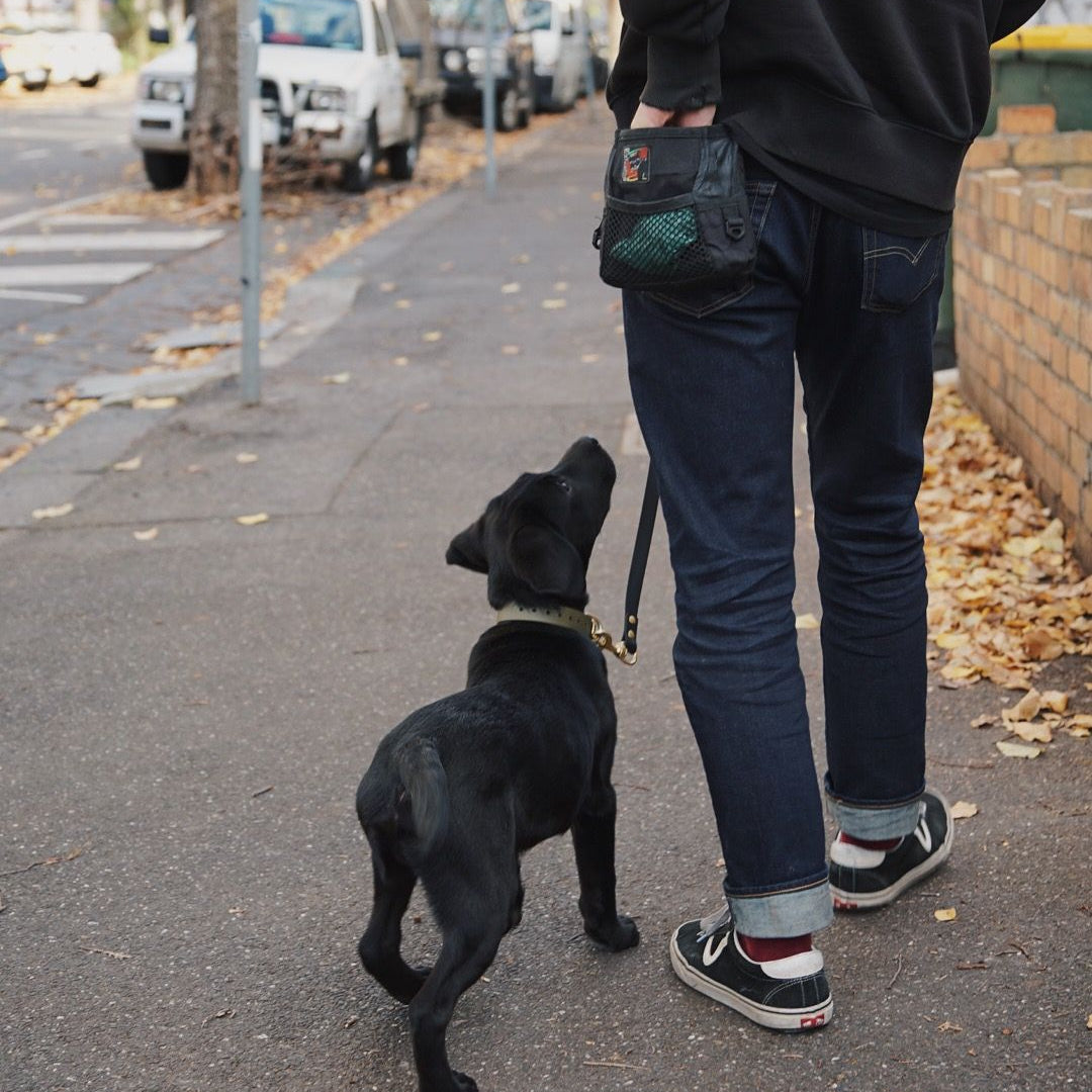 Person walking a black dog on a leash in an urban setting
