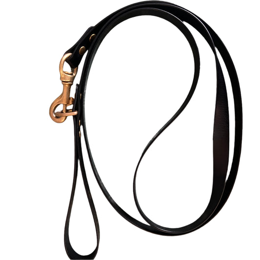 Everyday Dog Lead