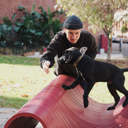 Man playing with a black dog on a red wavy sculpture in an outdoor setting.